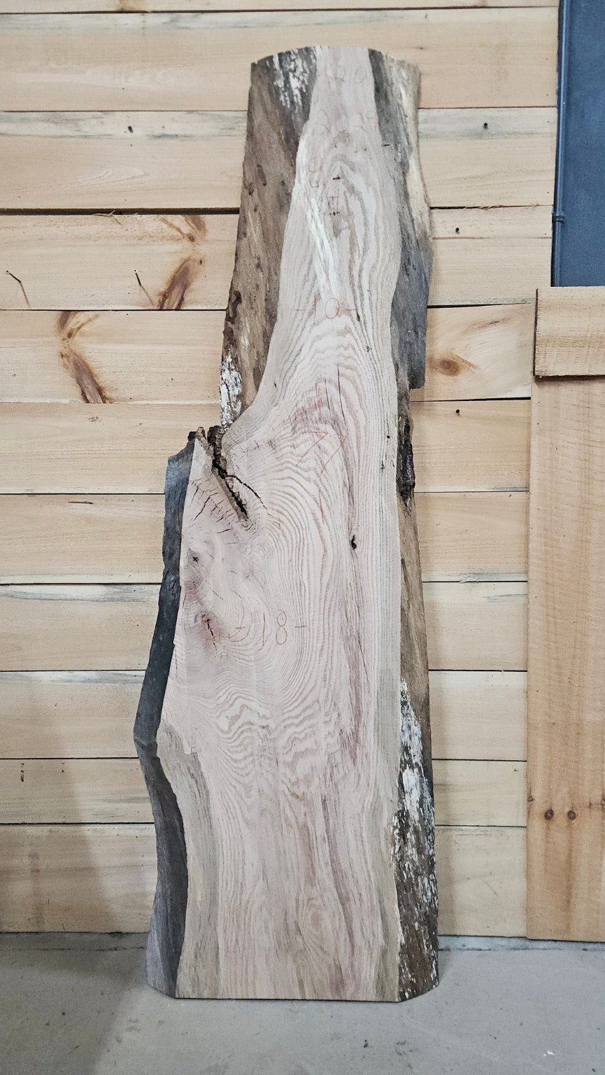 Red oak live edge slab #2029