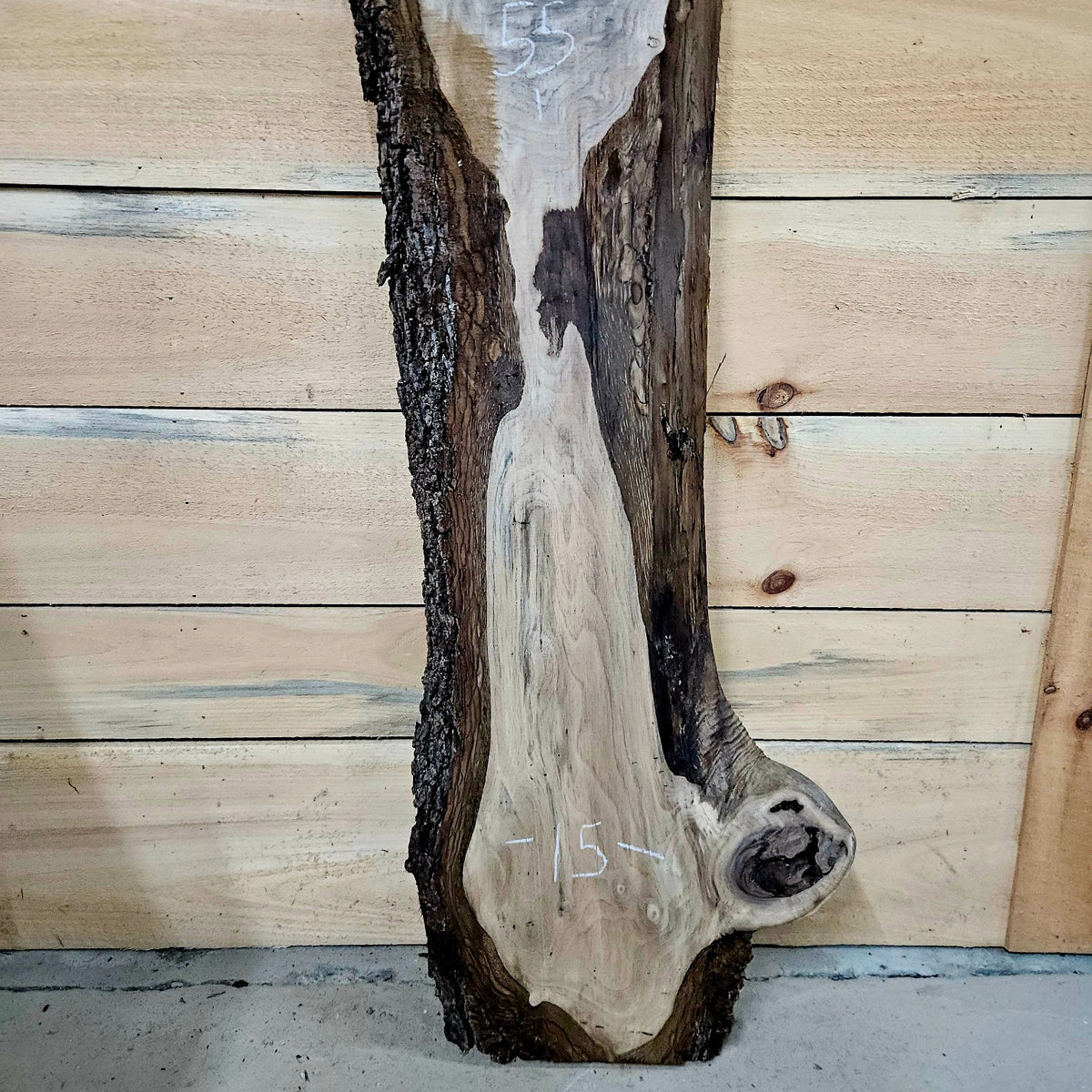 Walnut slab 2030-1, photo 3