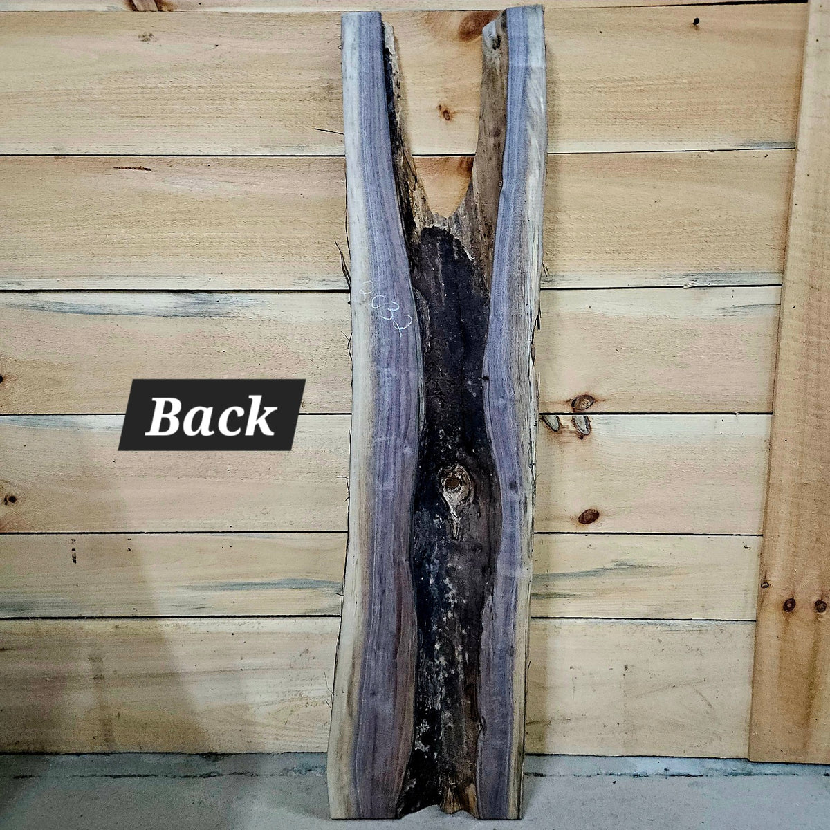 Walnut slab #2032 back