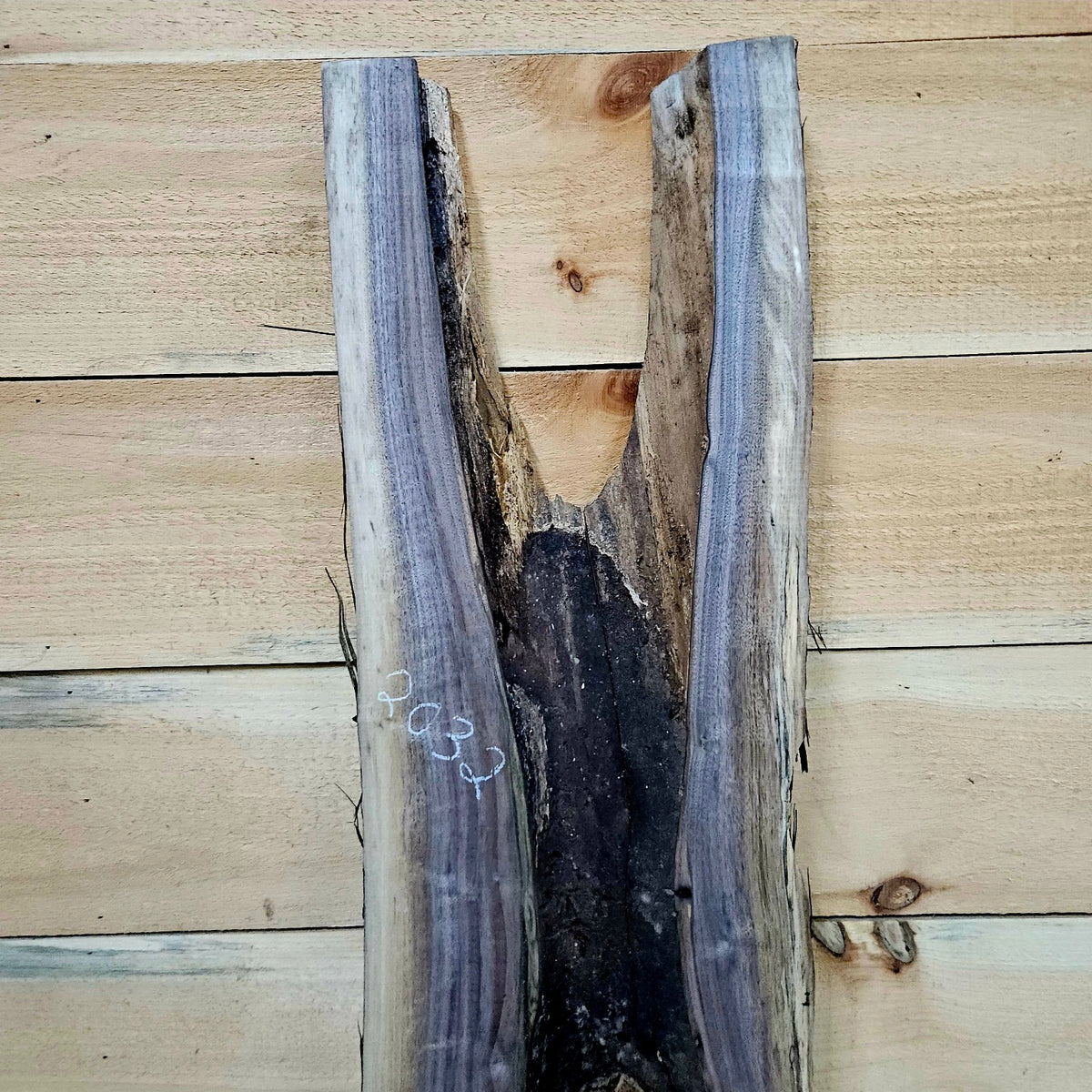 Walnut slab #2032 back upper void