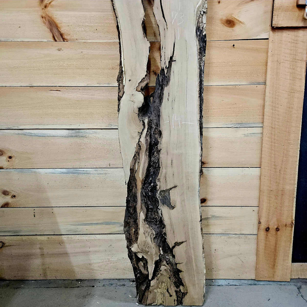 Black Locust live edge slab 2048, photo 3
