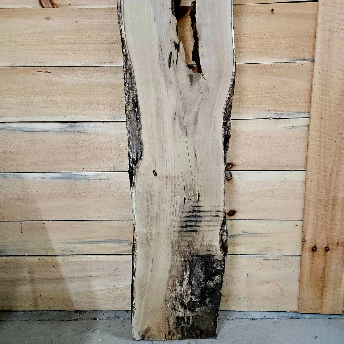 Black Locust live edge slab 2048, photo 6