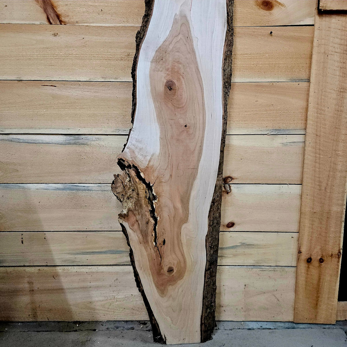 Cherry live edge slab 2049, photo 3