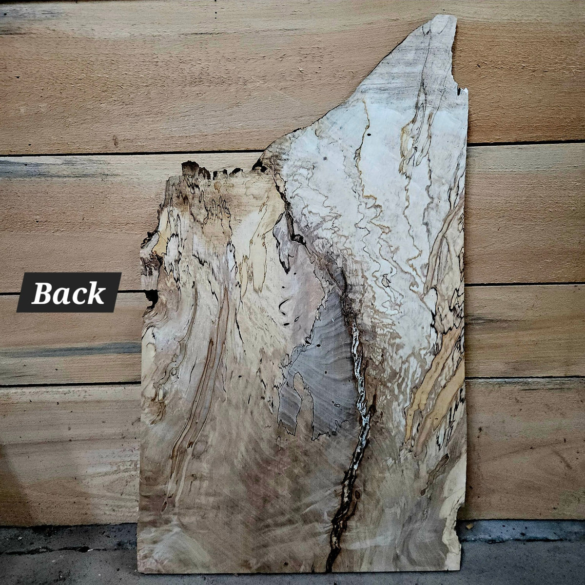 Curly spalted ambrosia maple DIY piece 2050, back