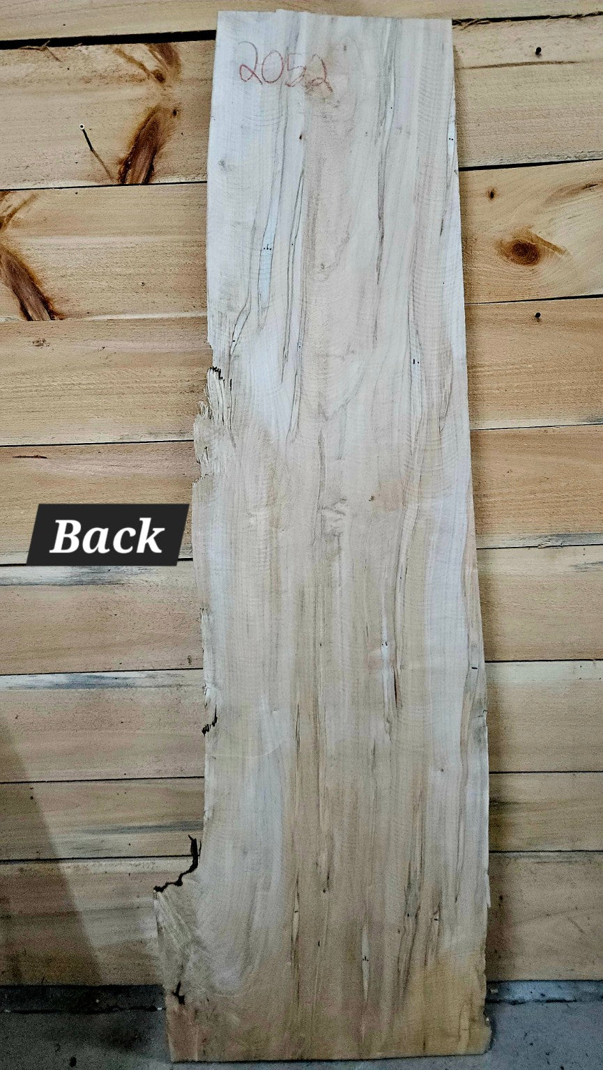 Ambrosia maple slab 2052-1 photo 4