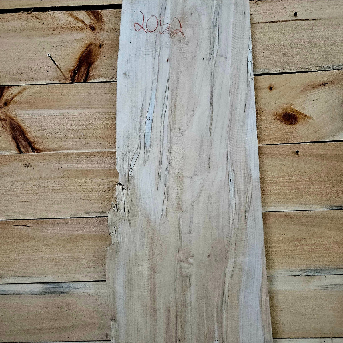 Ambrosia maple slab 2052-1 photo 5