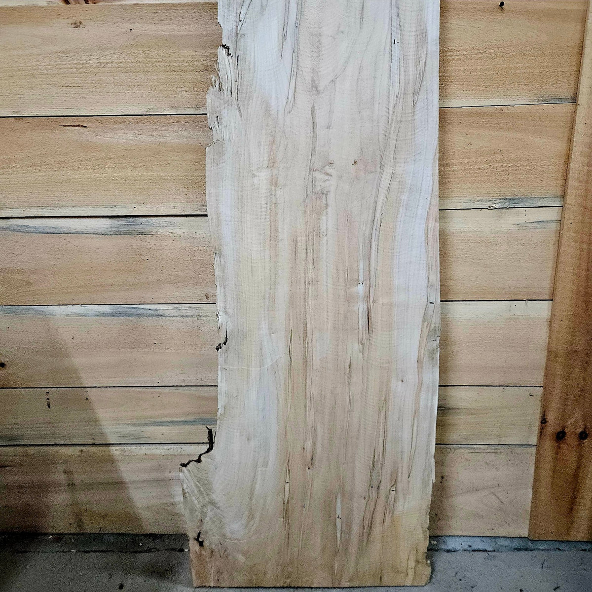 Ambrosia maple slab 2052-1 photo 6