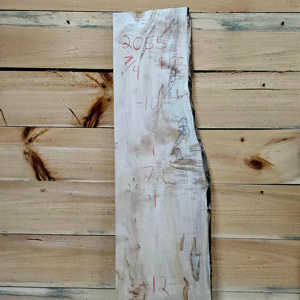 Spalted curly ambrosia maple slab 2055 photo 2