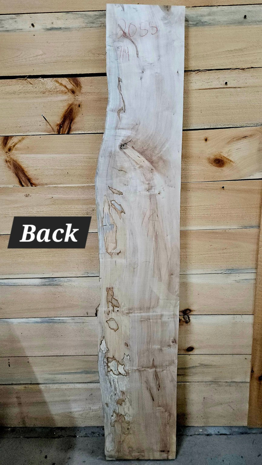 Spalted curly ambrosia maple slab 2055 photo 5