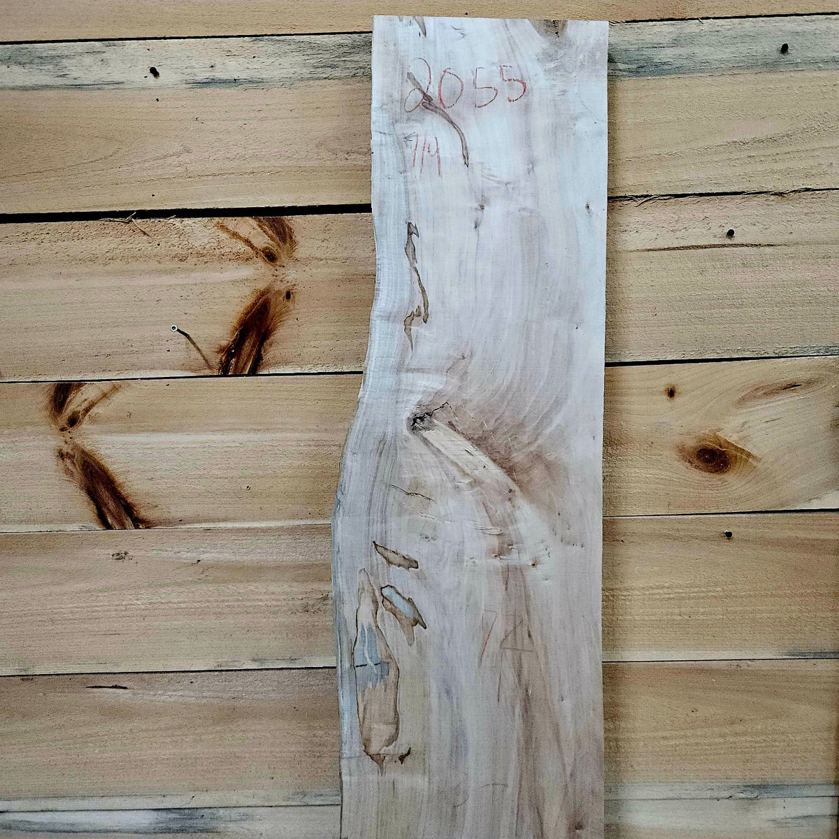 Spalted curly ambrosia maple slab 2055 photo 6