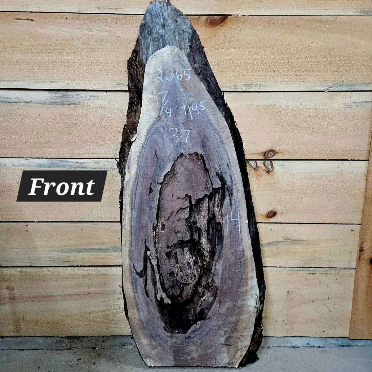 2065 walnut live edge slab front showing natural center cavity and bark inclusions