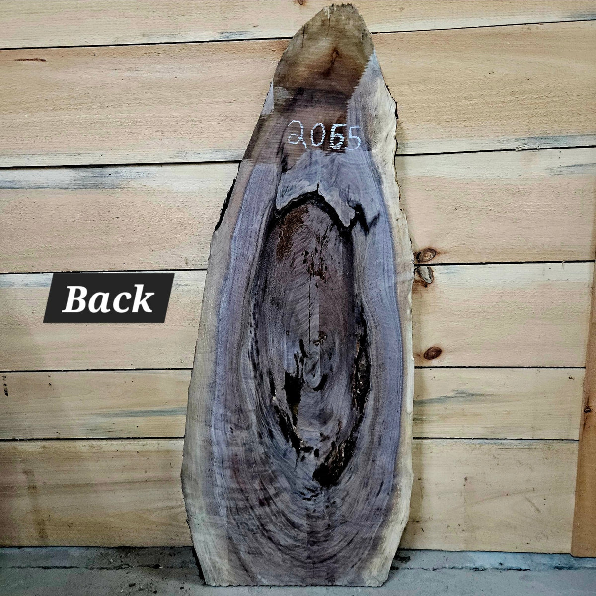 2065 walnut live edge slab back showing natural center cavity and bark inclusions