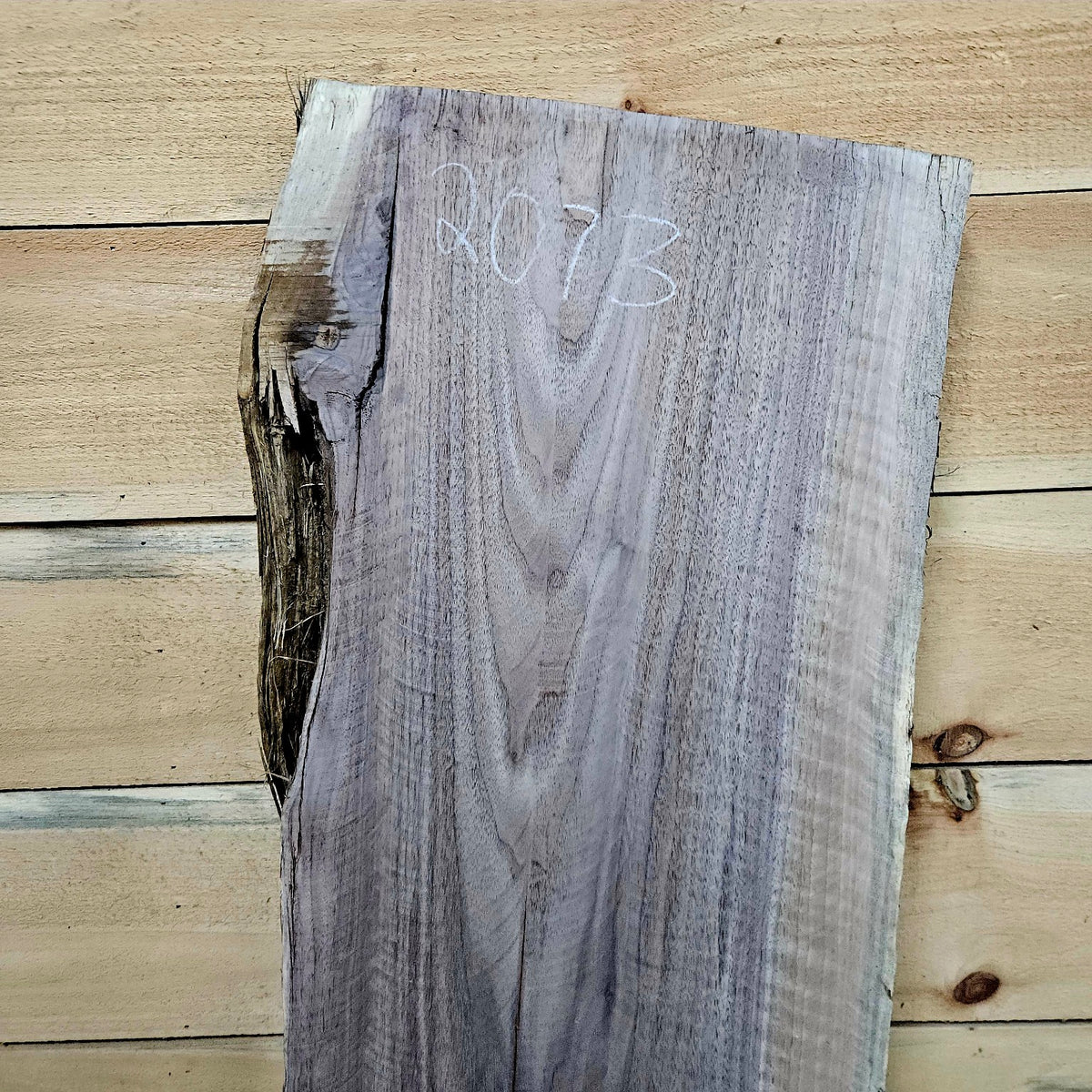 Walnut slab 2073 photo 5