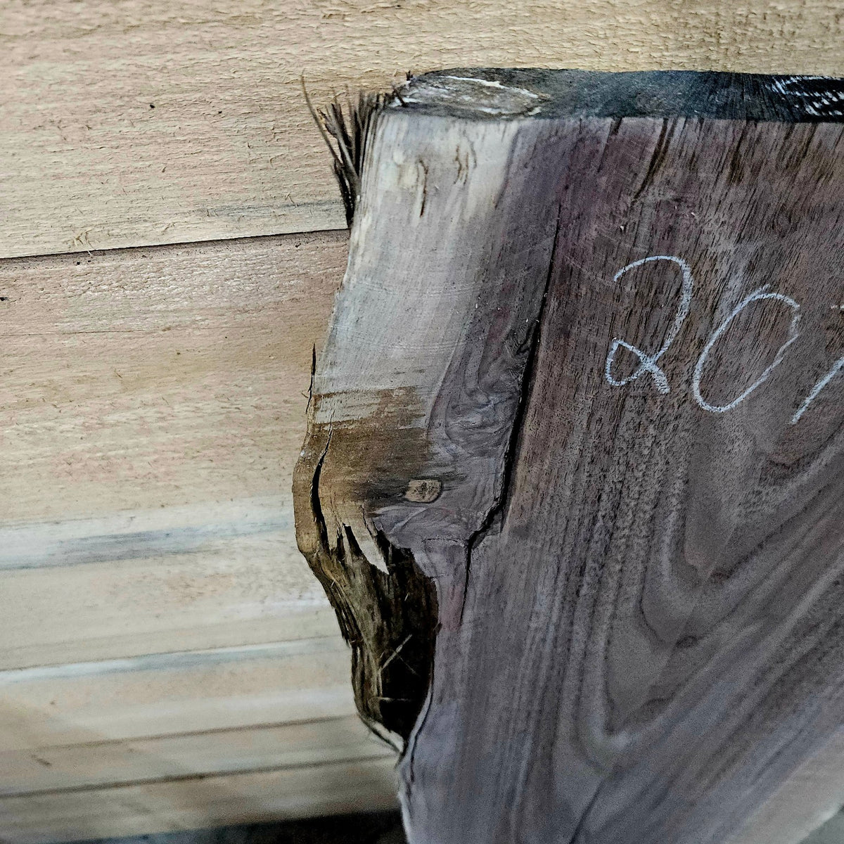 Walnut slab 2073 photo 8