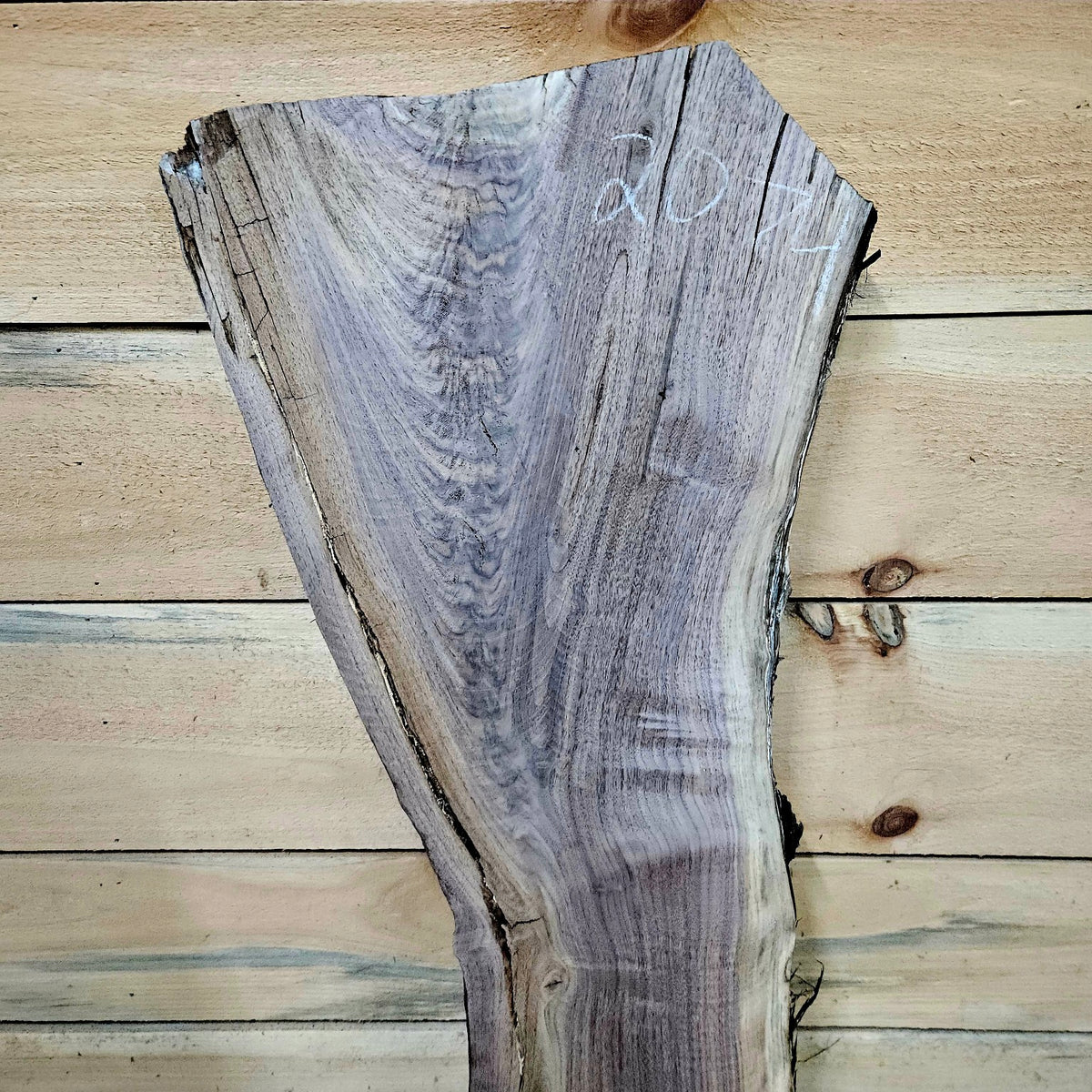 Walnut slab 2074 photo 5