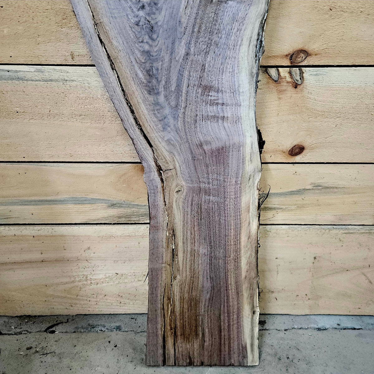 Walnut slab 2074 photo 6