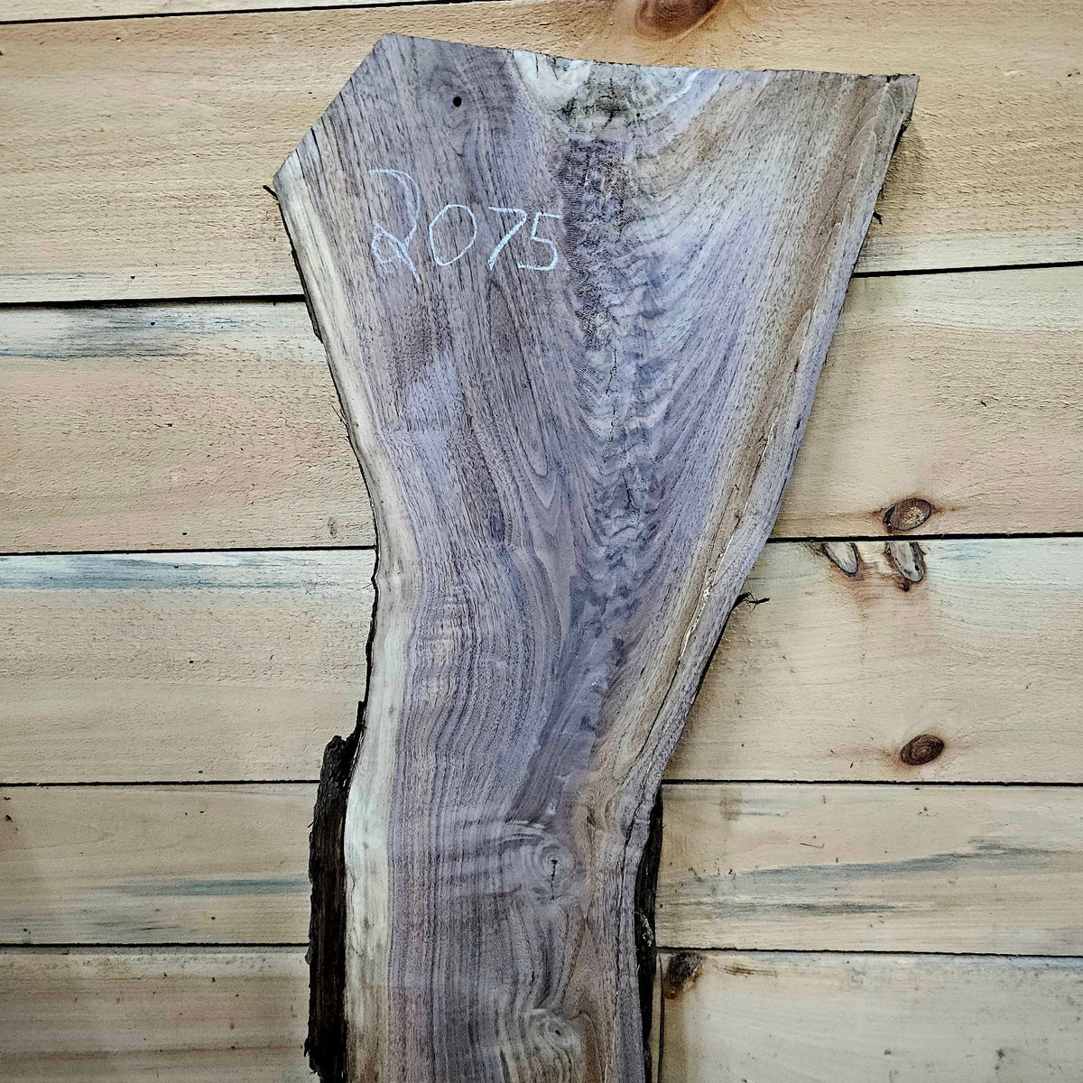 Walnut slab 2075 photo 5