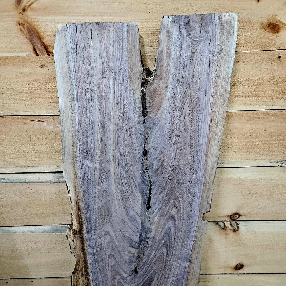Walnut slab 2076 photo 5
