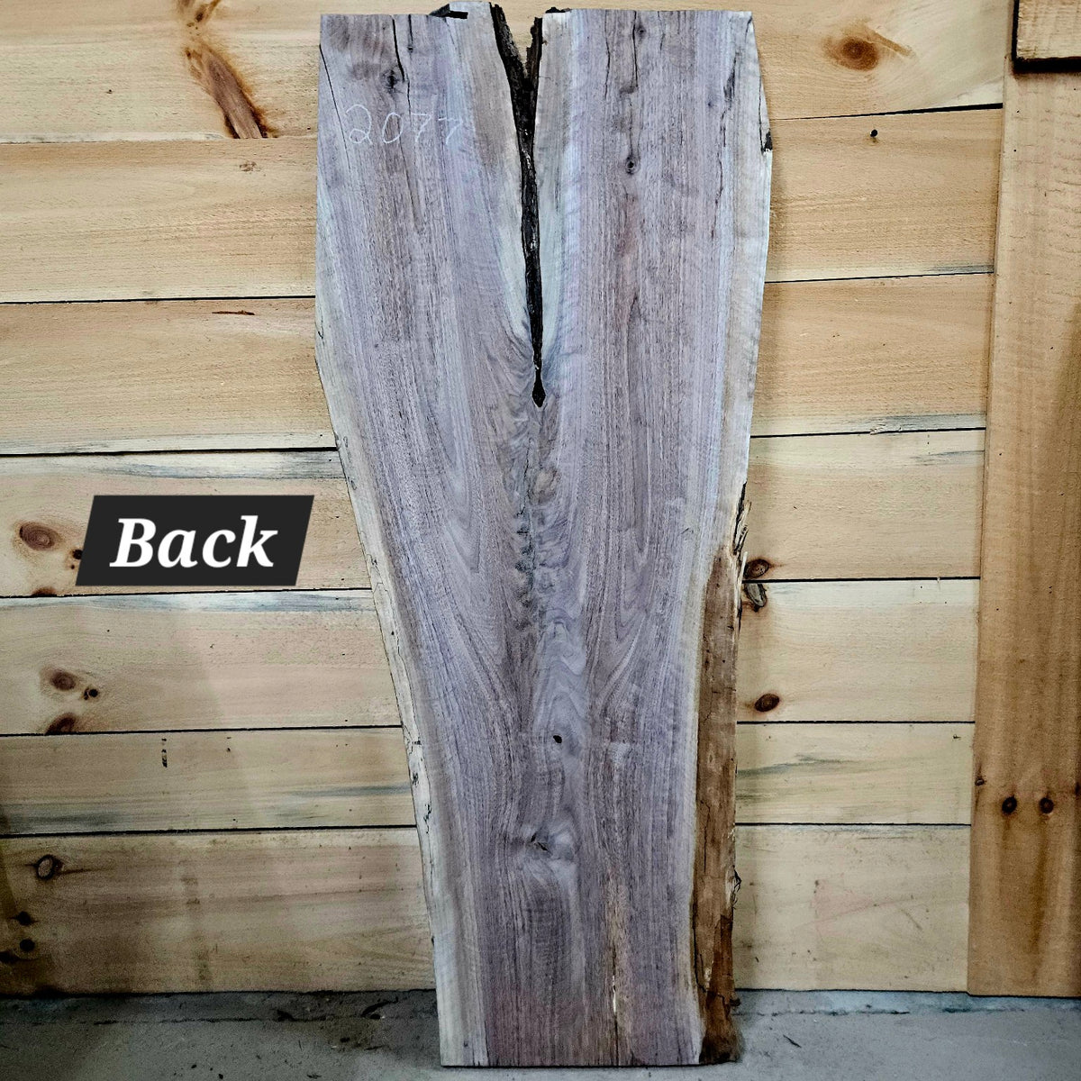 Walnut slab 2077 photo 4