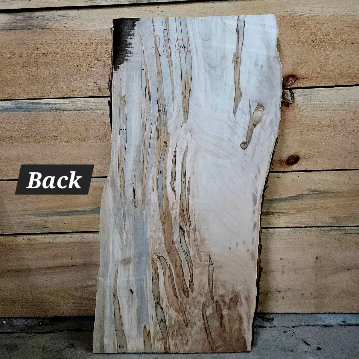 Curly ambrosia maple slab 2081 back