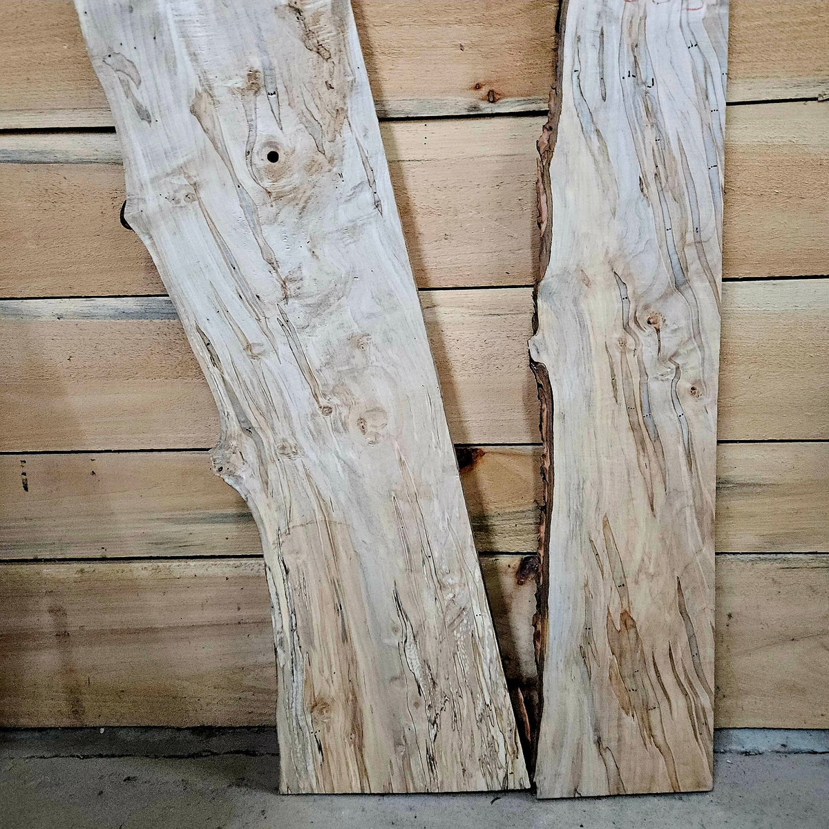 Curly ambrosia maple DIY bundle 2083 photo 6
