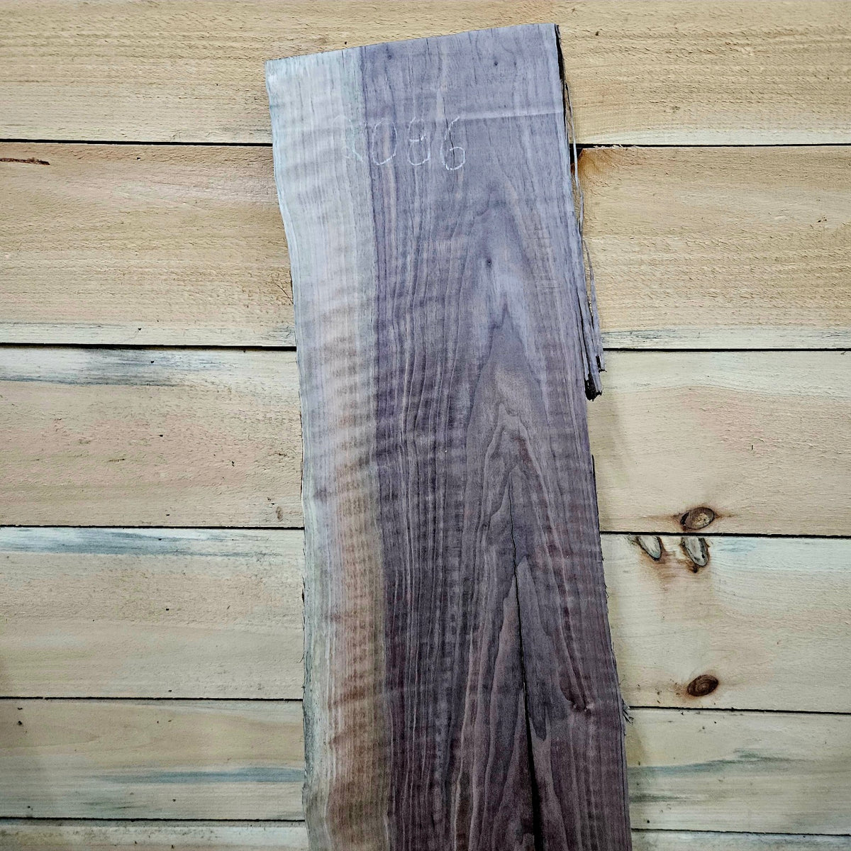 Curly walnut slab 2086 photo 5