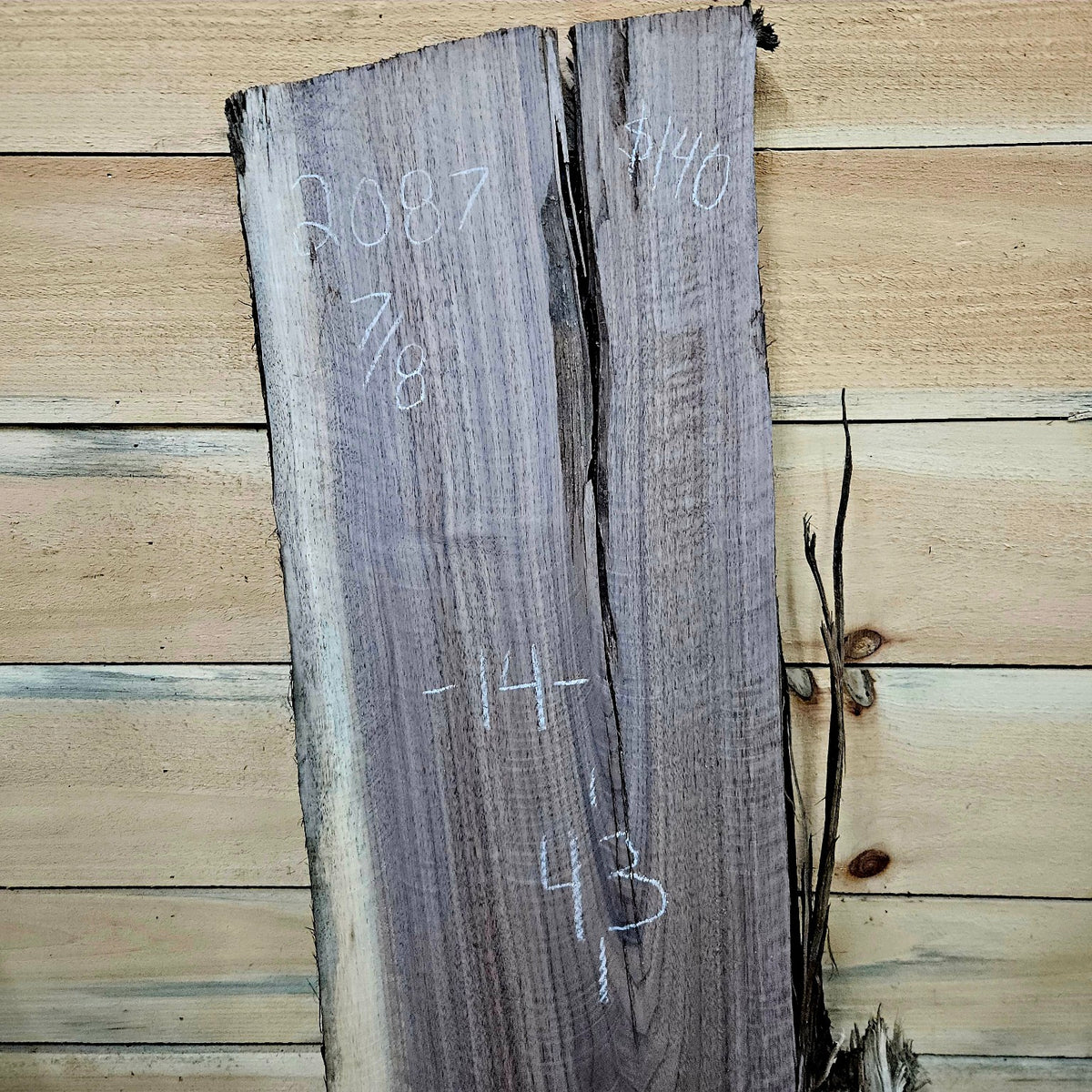 Walnut slab 2087 photo 2