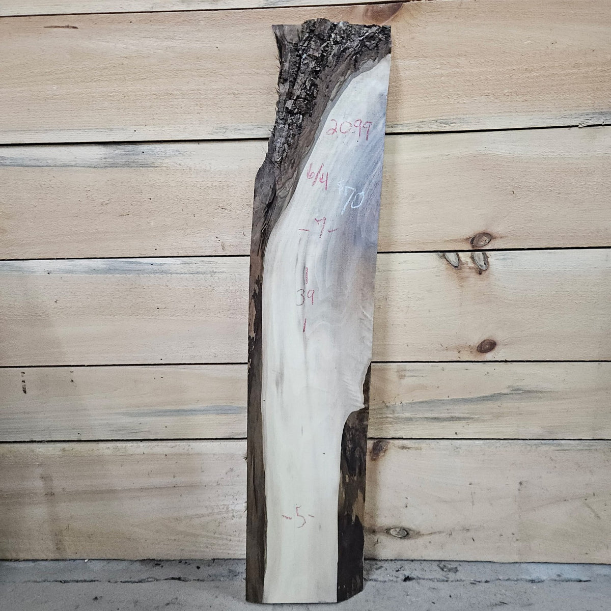 Walnut slab 2099 front