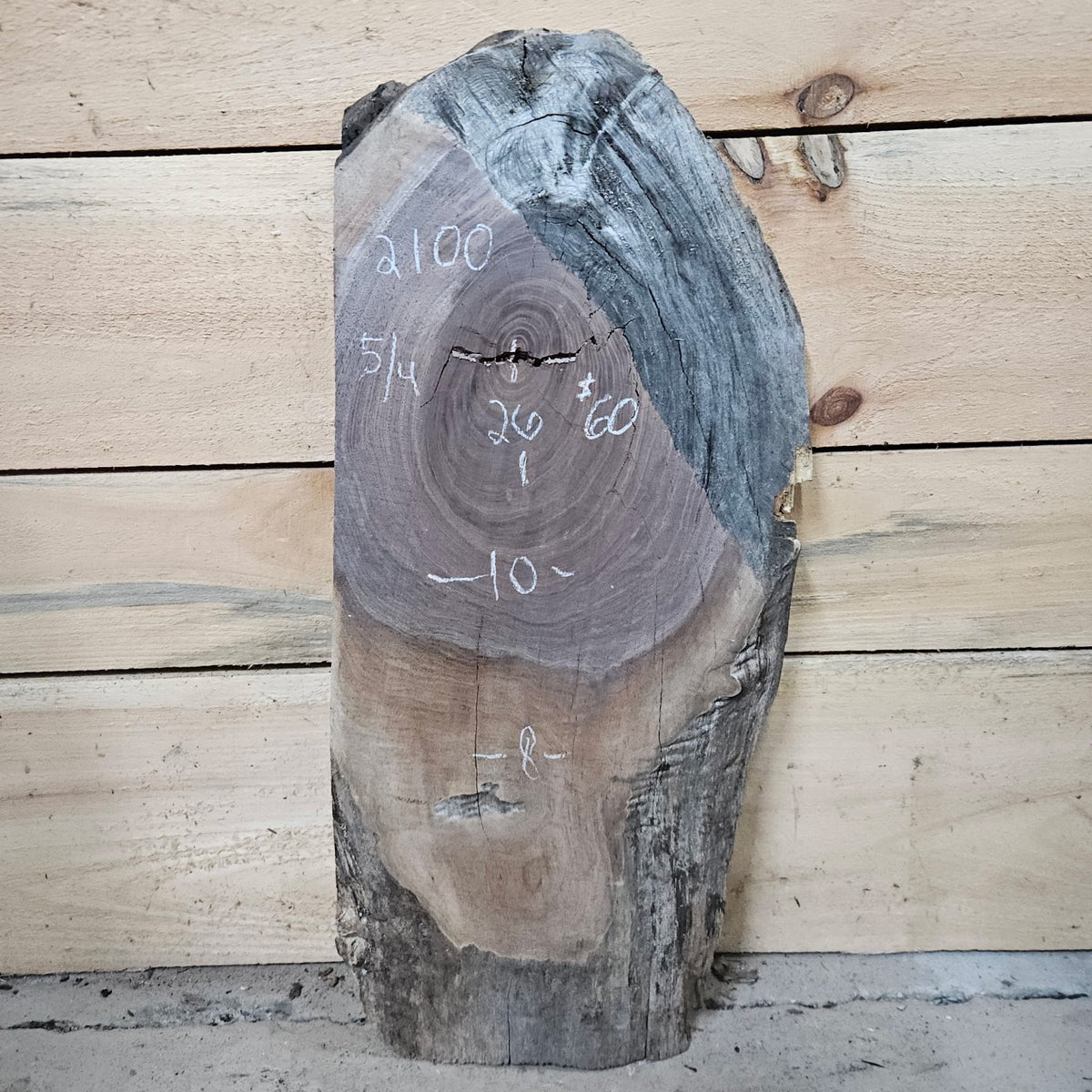 Walnut slab 2100 front
