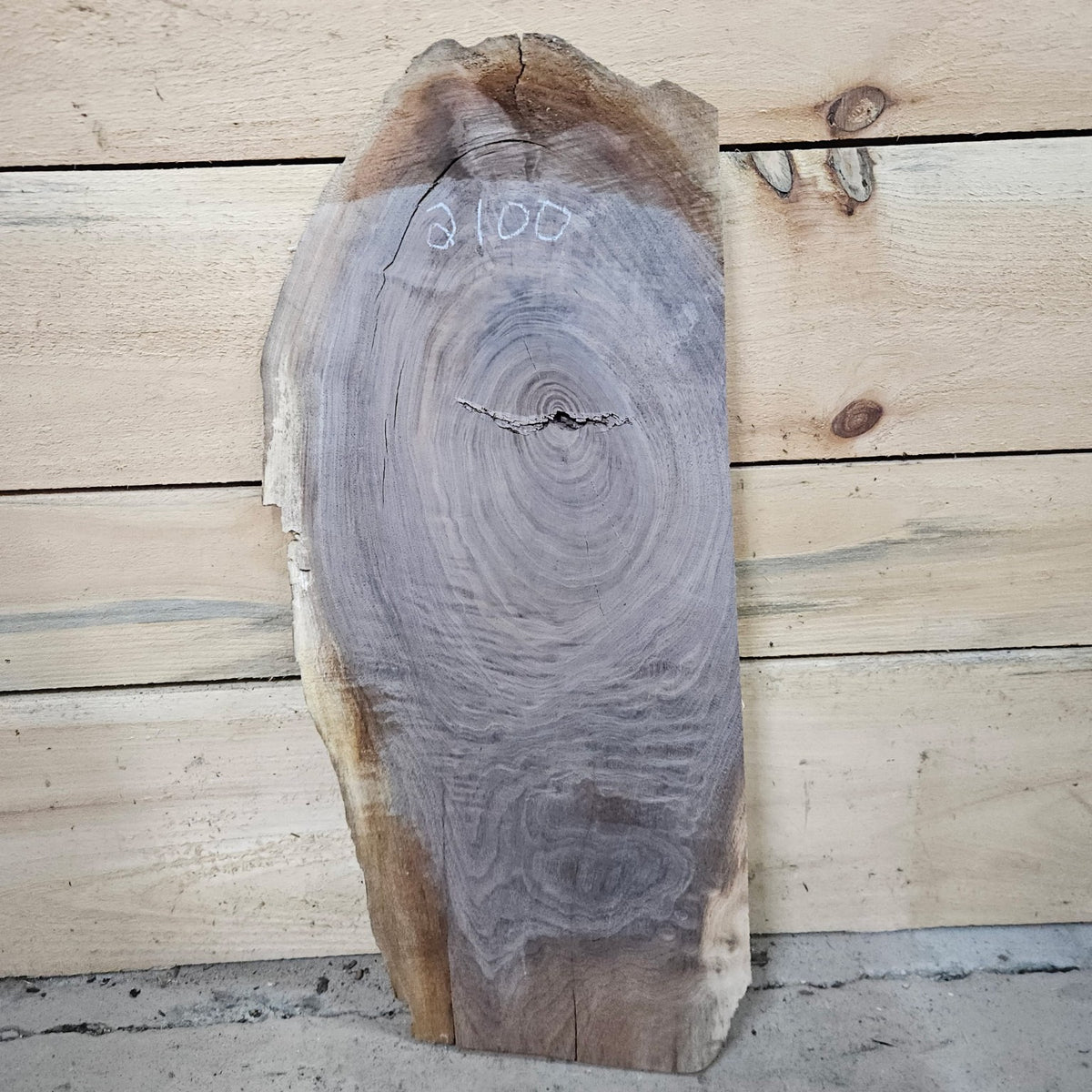 Walnut slab 2100 back