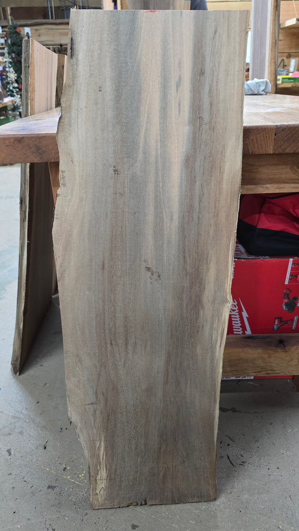 1108 Walnut live edge slab