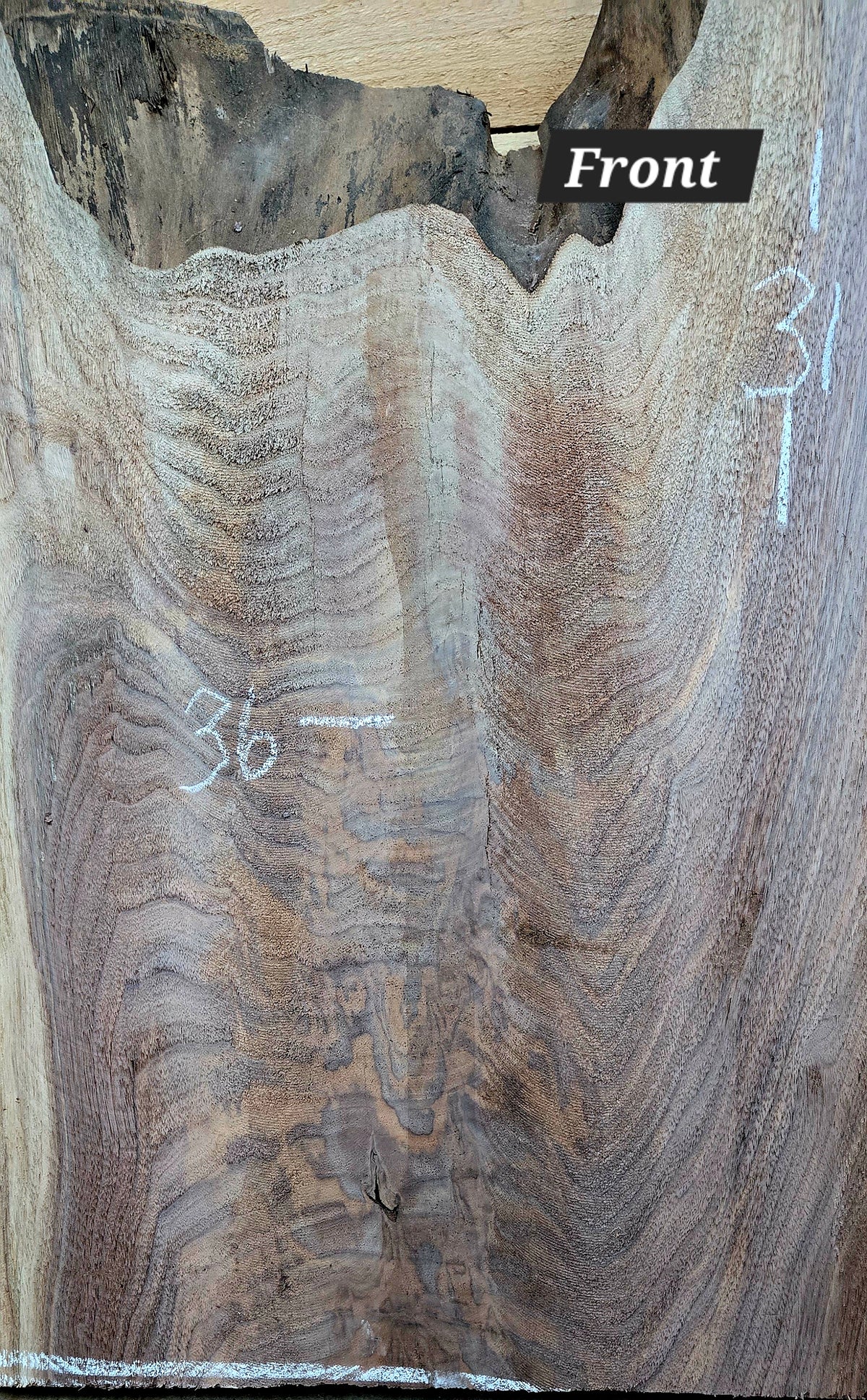 Walnut live edge slab #1820, view 2
