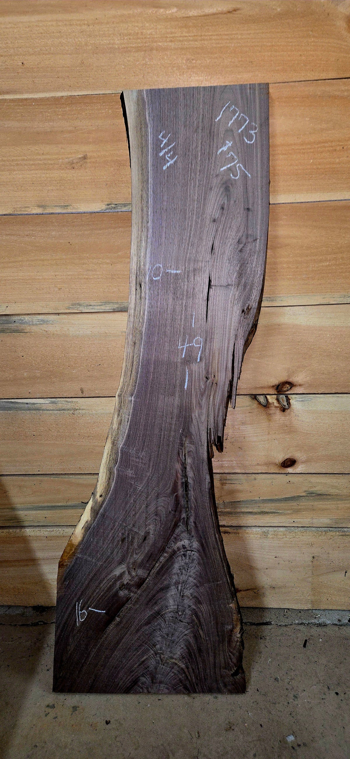 Walnut live edge slab #1773, view 1