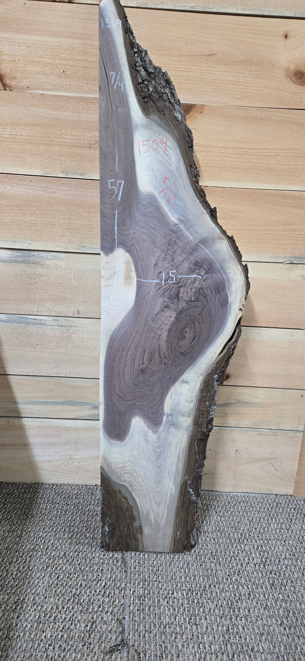 1509 Walnut Slab