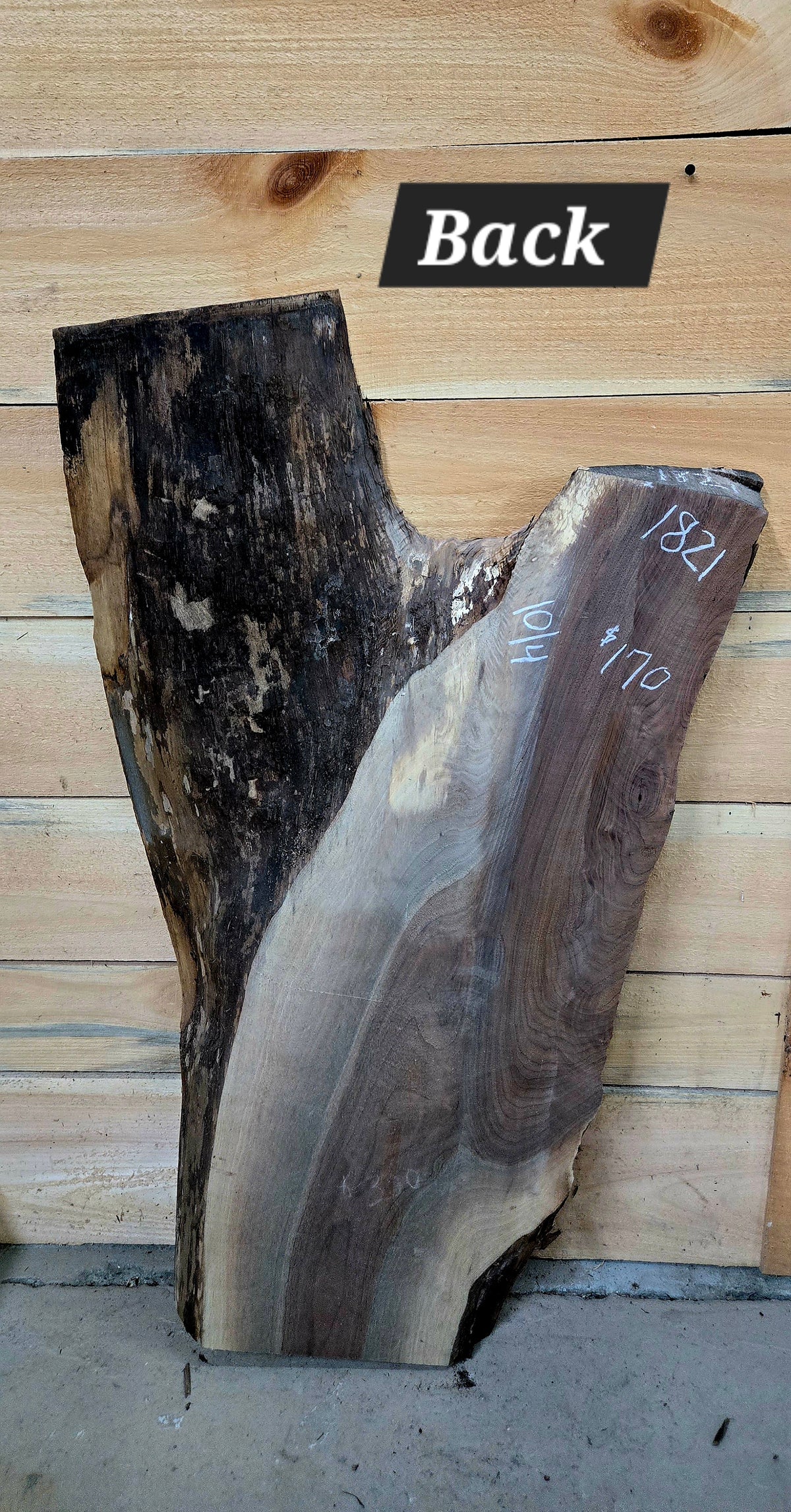 Walnut live edge slab #1821, view 3