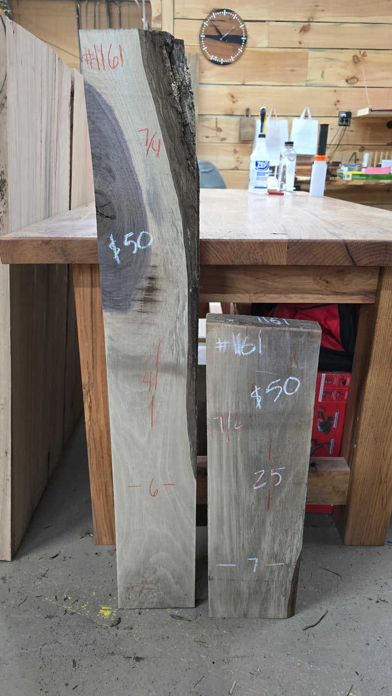 1161 Walnut DIY Bundle