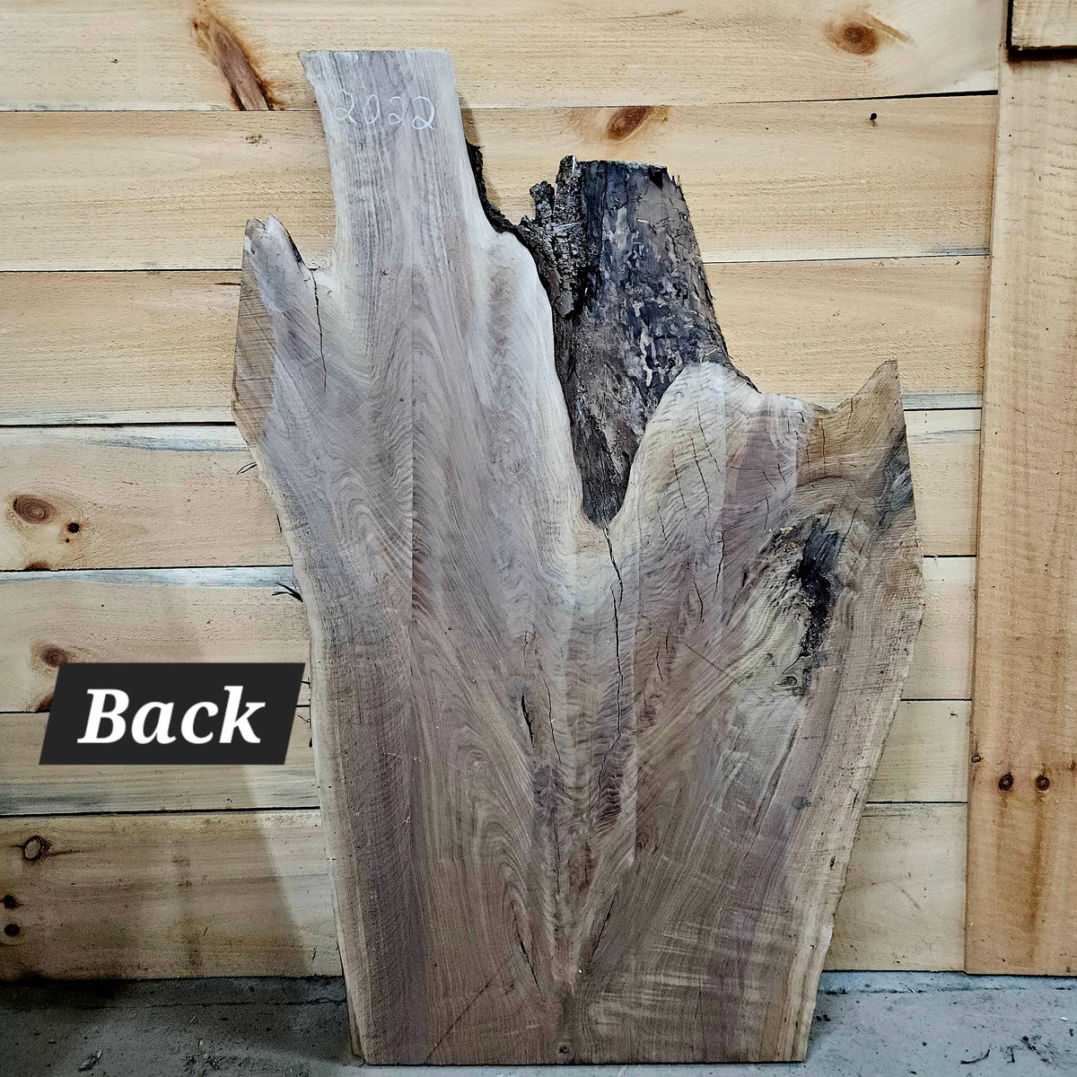 2022 Walnut Live Edge Slab – 45" × 33" × 10/4"