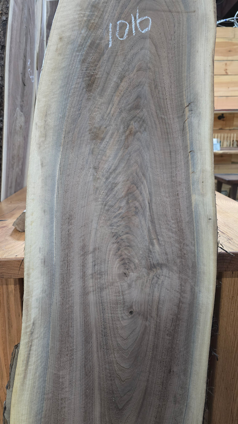 1016 Walnut live edge slab