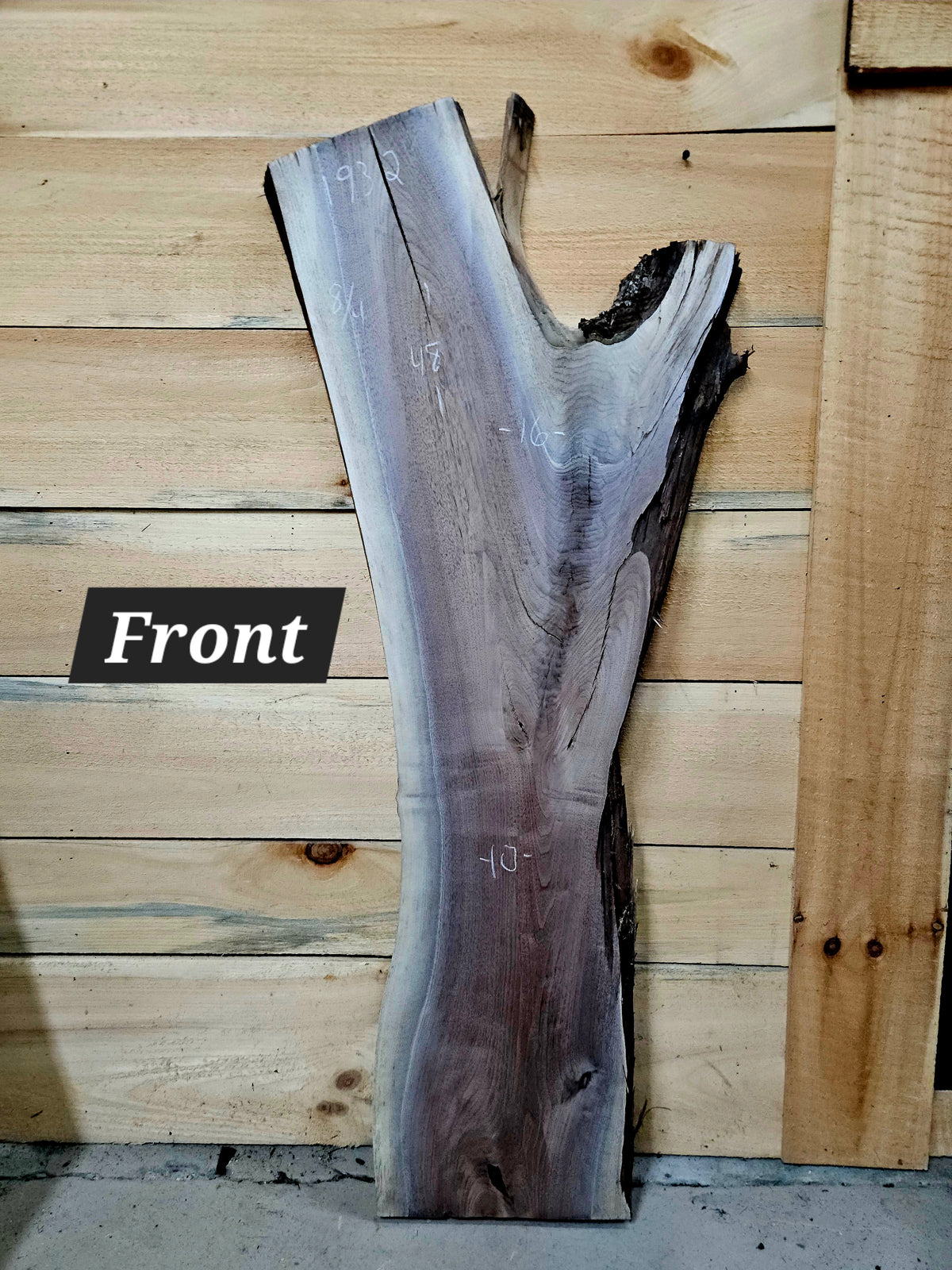 1932 Walnut Live Edge Slab – 48" × 10" - 16" × 8/4"