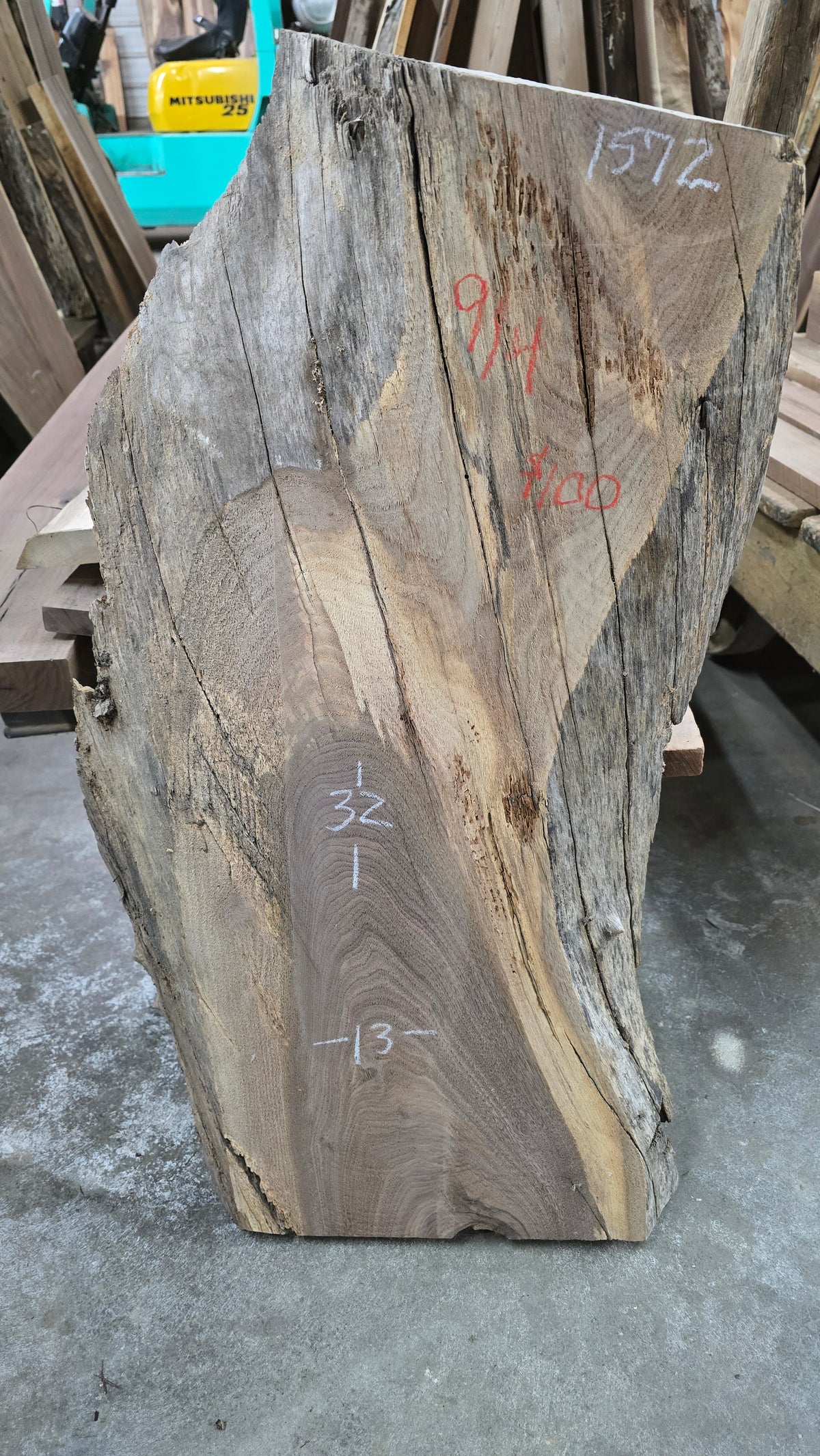 Walnut live edge slab #1572, view 1