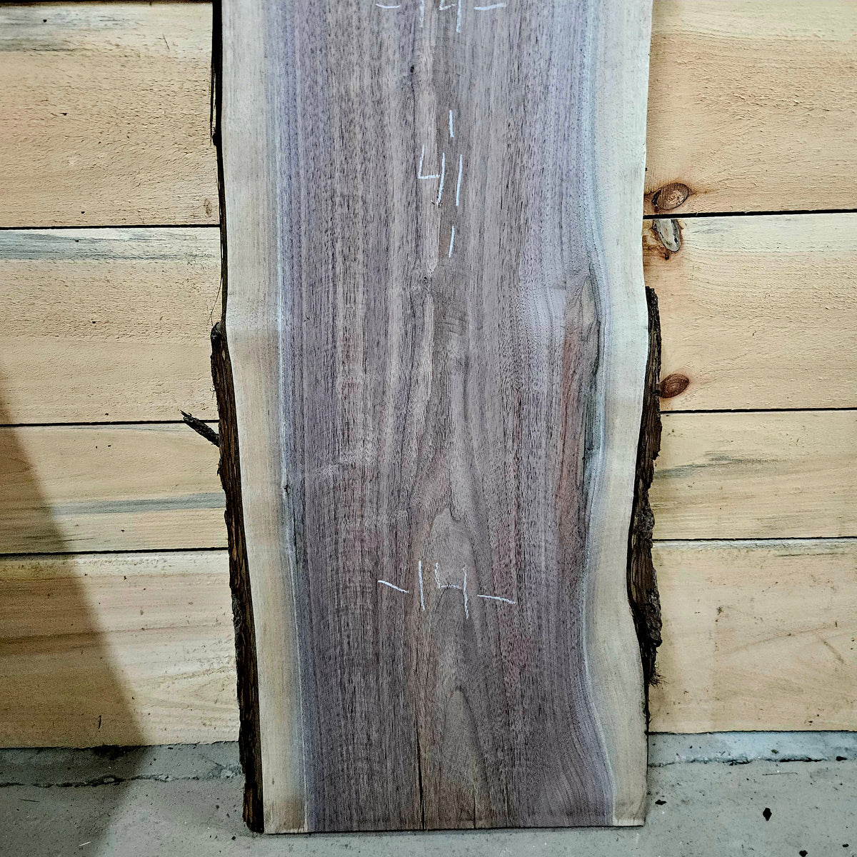 1973 Walnut Live Edge Slab – 41" × 14" × 7/4"