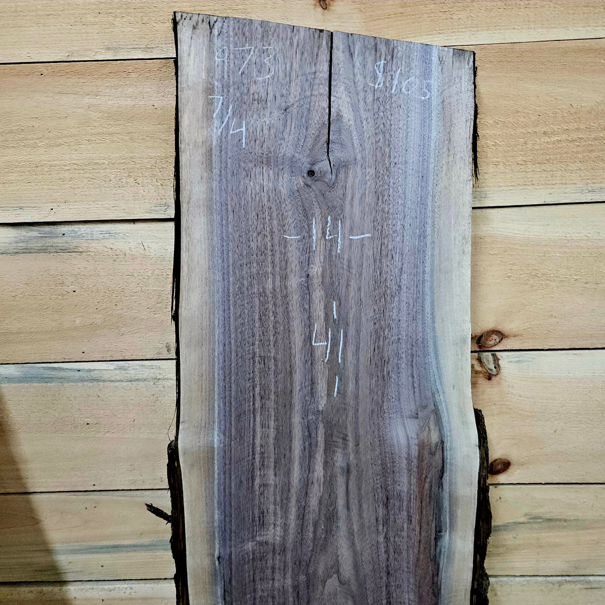 1973 Walnut Live Edge Slab – 41" × 14" × 7/4"