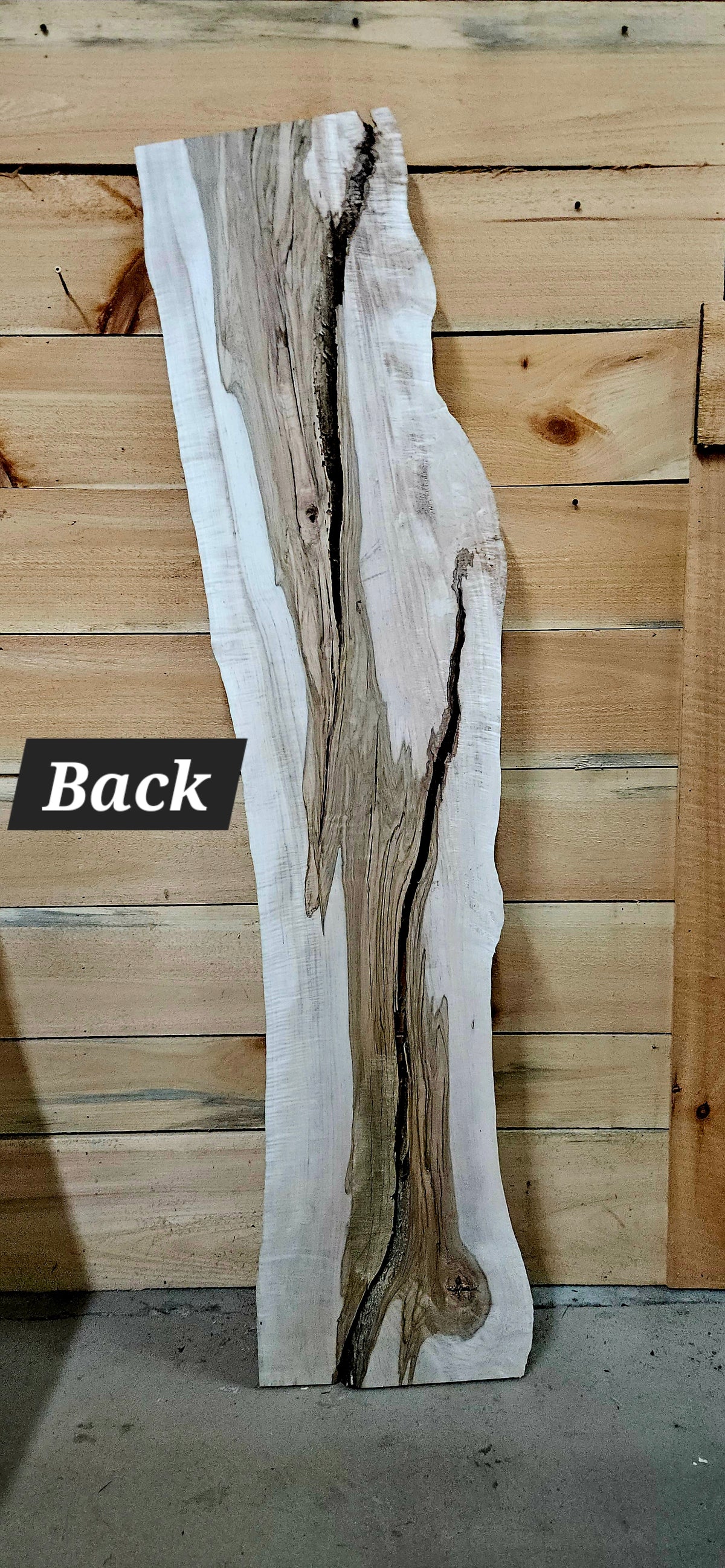 1959 Curly Maple Live Edge Slab – 66" x 10 - 15" × 7/4"