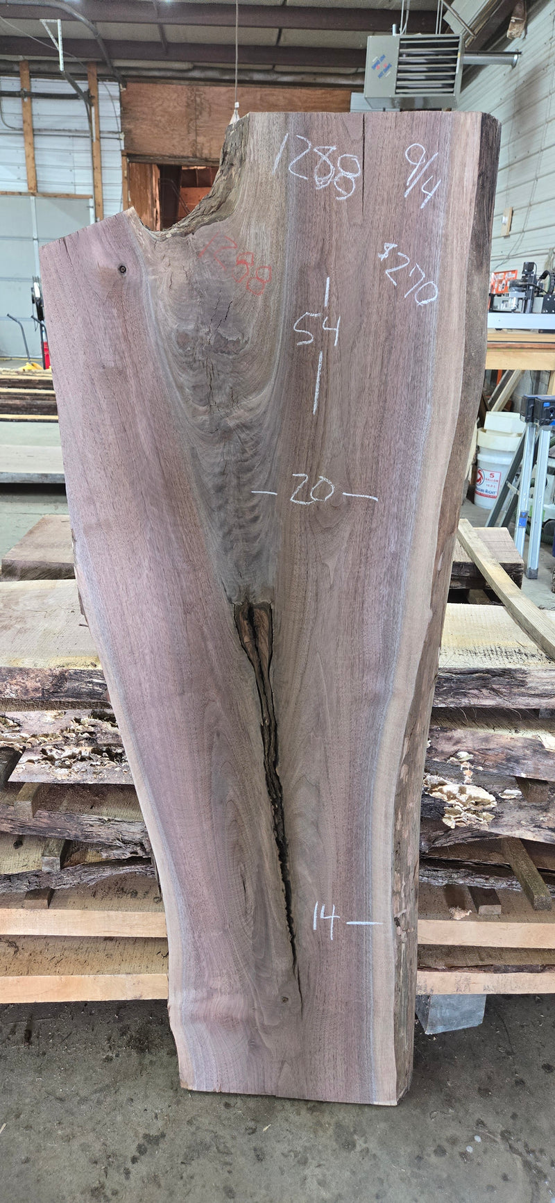 1288 Walnut Slab