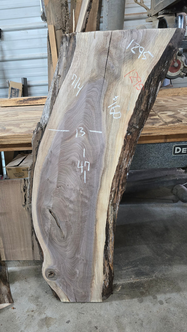 1295 Walnut Slab