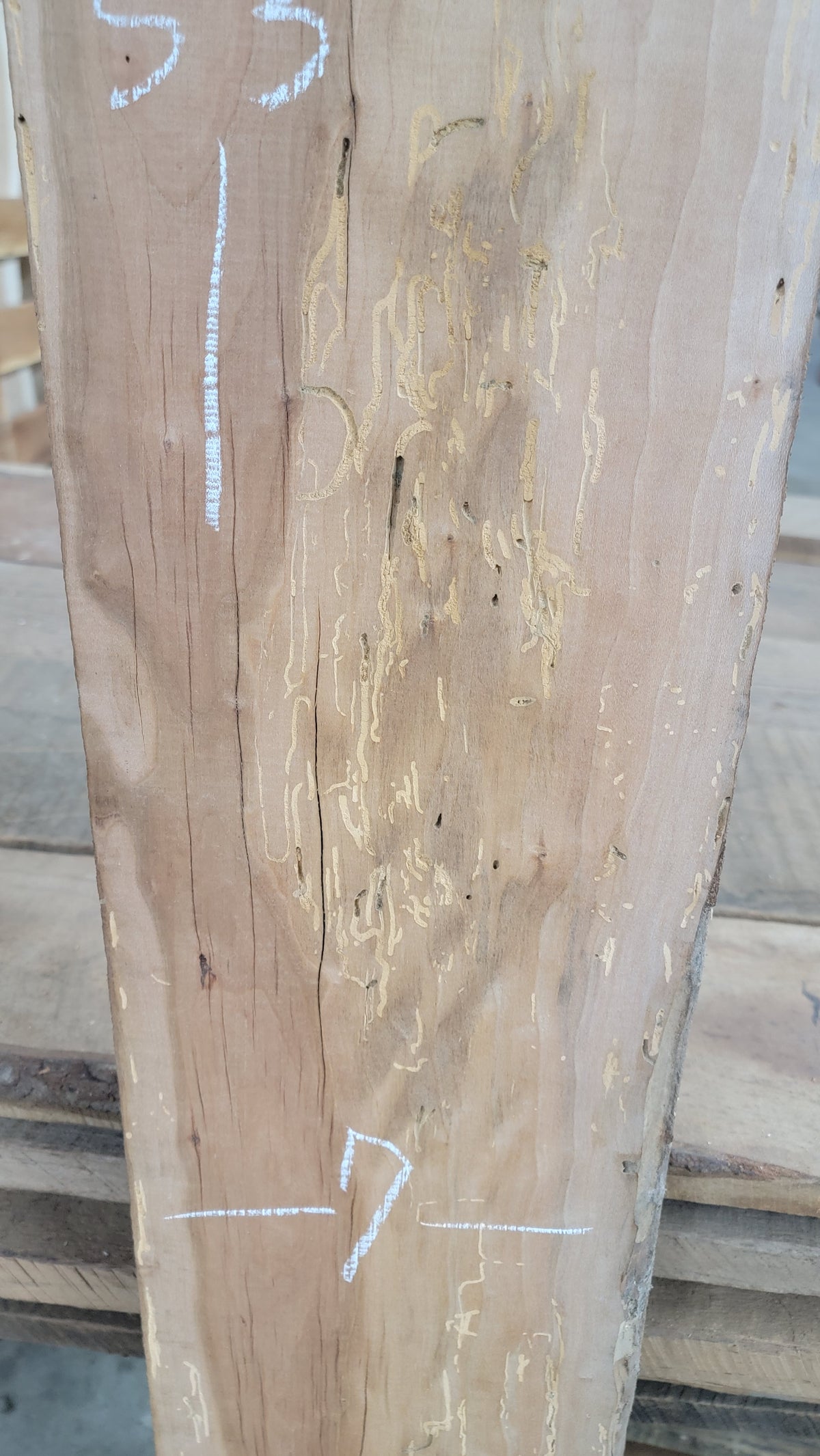 941 Cherry DIY Wood Bundle, view 2