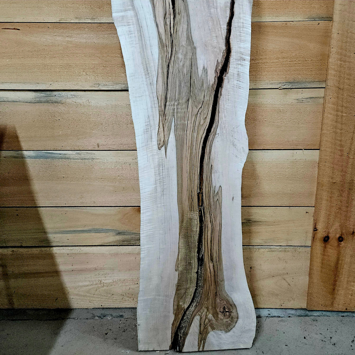1959 Curly Maple Live Edge Slab – 66" x 10 - 15" × 7/4"