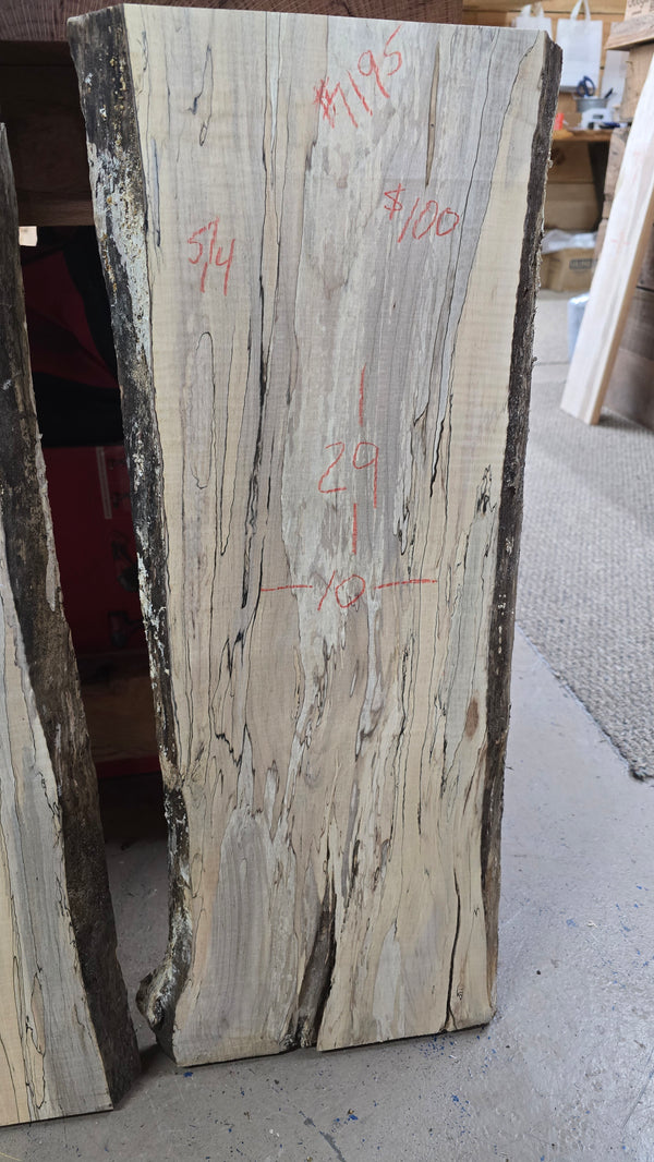 1195 Ambrosia Spalted Maple DIY Bundle