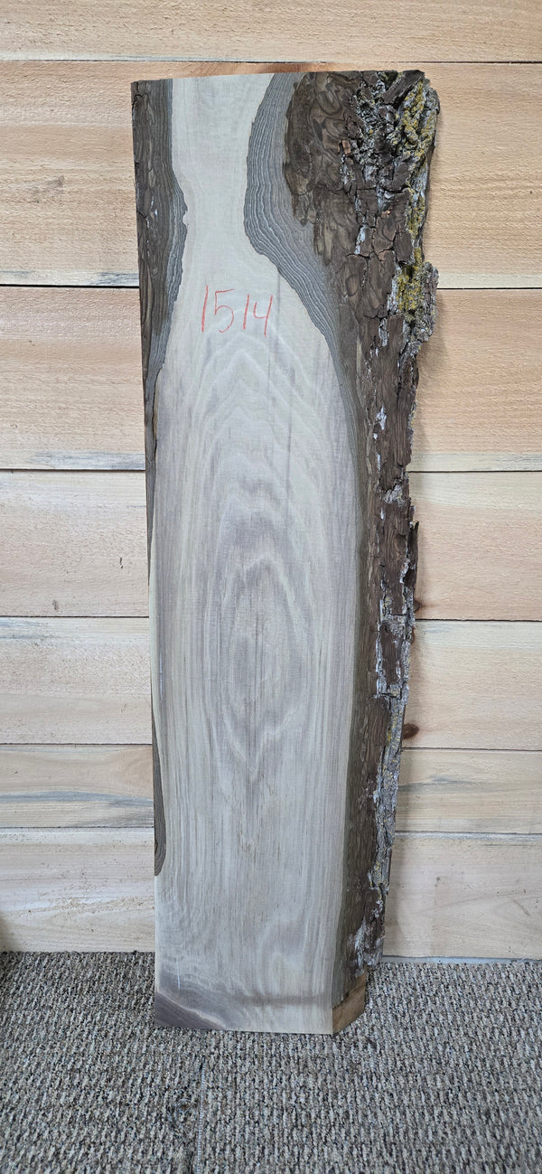 1514 Walnut Slab