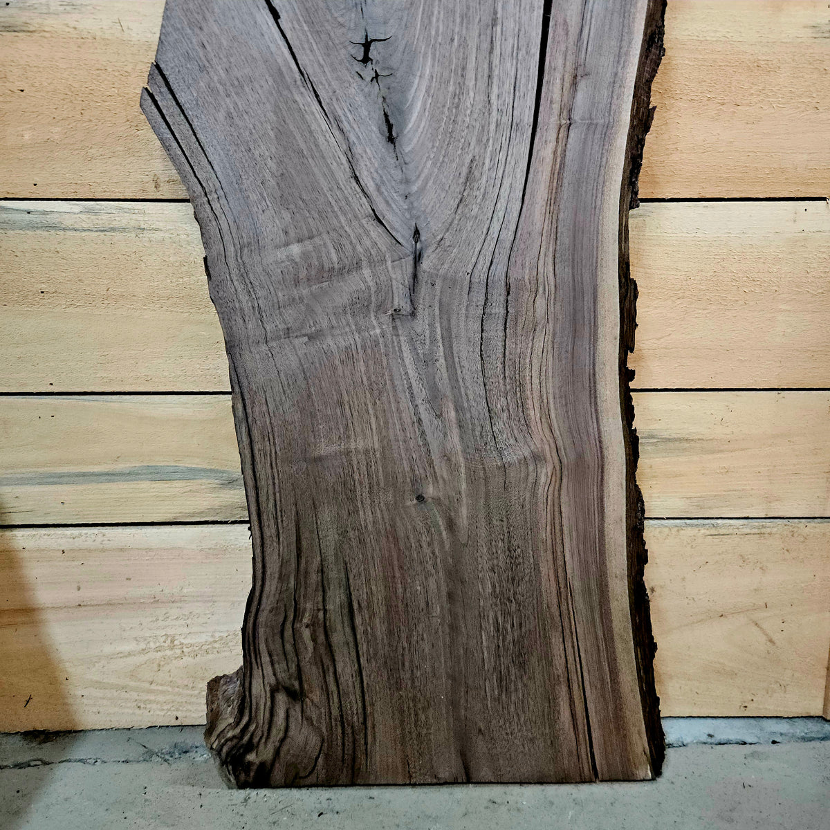 1946 Walnut Live Edge Slab – 40" × 15 -18" × 6/4"